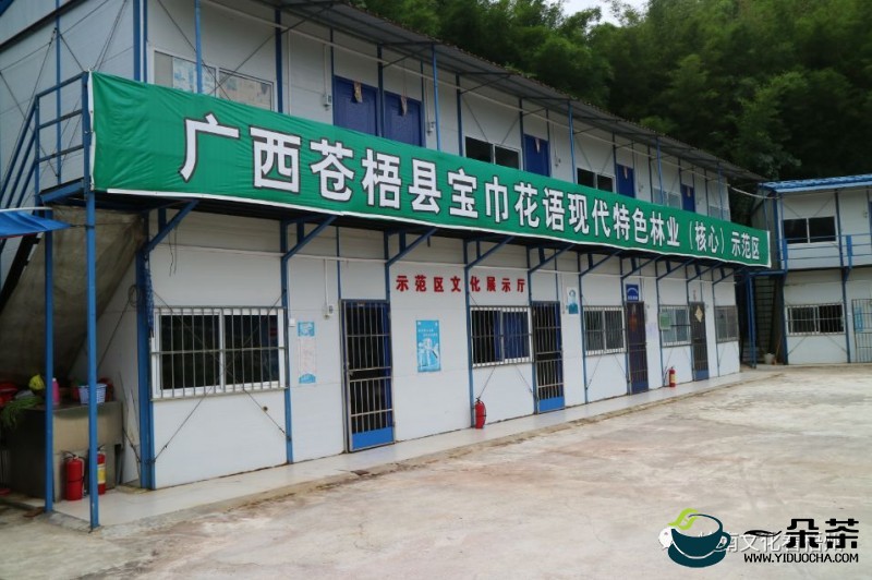 广西六堡茶产业发展座谈会在南宁召开