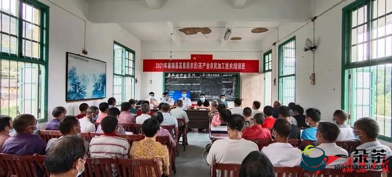 福建南靖：奎洋镇积极开展茶叶生产技术培训
