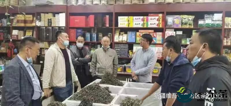 镇沅县茶产业考察团莅临新疆茶叶商会考察交流