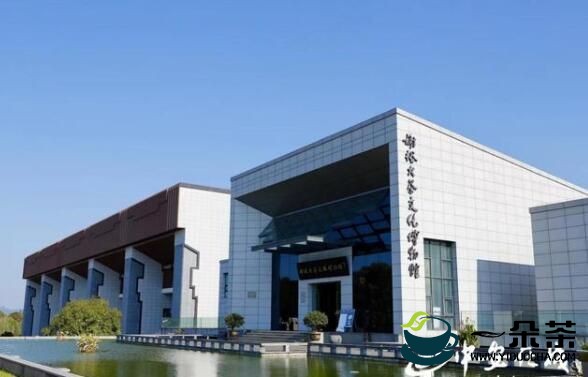 安徽黄山：科技赋能茶产业发展 创新擦亮绿色品牌