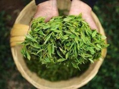 茶文化之湖南省名茶(湖南特色茶)