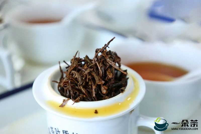 杭州茶厂第七届技能大比武，茶人的技能较量，从来不只是比泡茶与喝茶