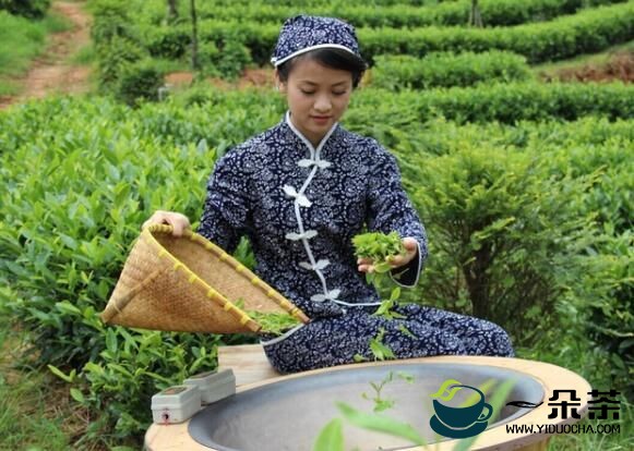 在全球价值链中，我国茶产业处于什么地位？有哪些提升方式？