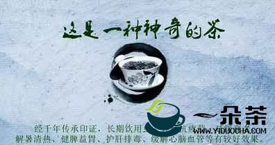 我国传统出口名茶：虫茶(虫茶是什么茶叶做出的)