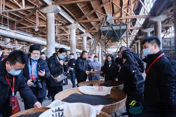首届祁红产业发展论坛在安徽池州举办 单霁翔“点赞”老茶厂