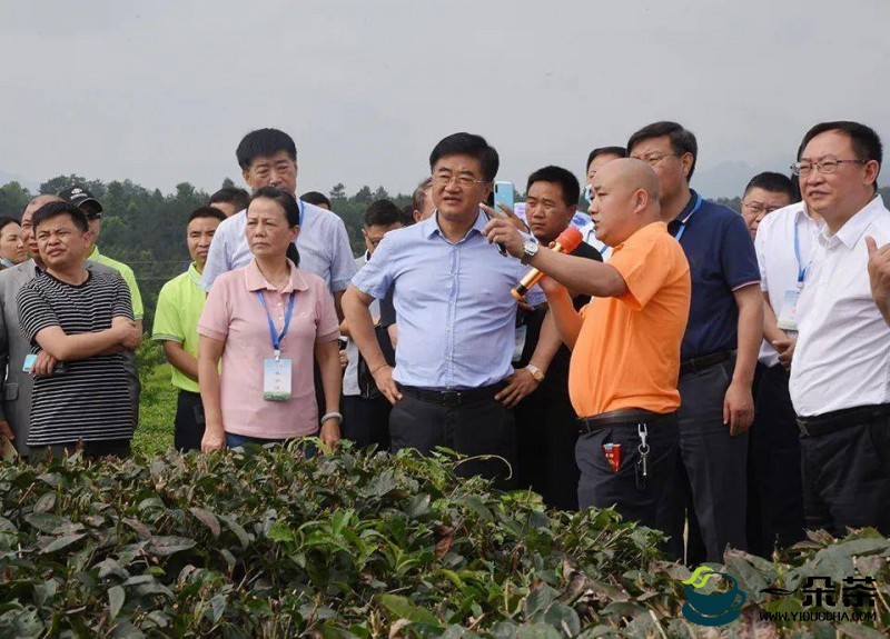 2022年全省茶产业发展大会在贵阳召开 慕德贵出席并讲话