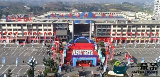 2022年第十五届中国·宜宾早茶节开园采摘活动在高县举行