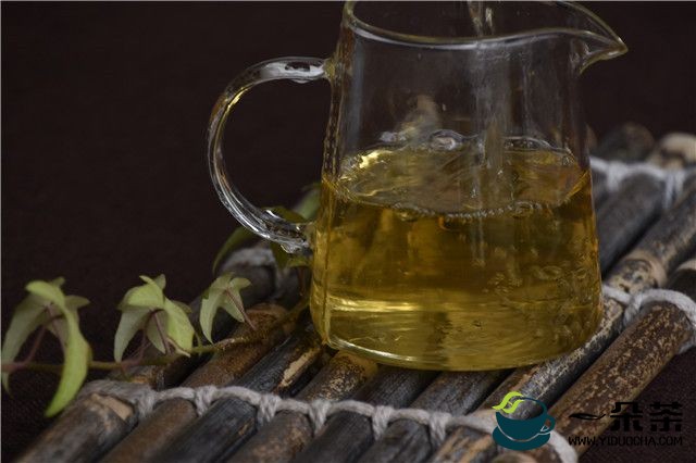 茶之源与茶文化的传播（六）