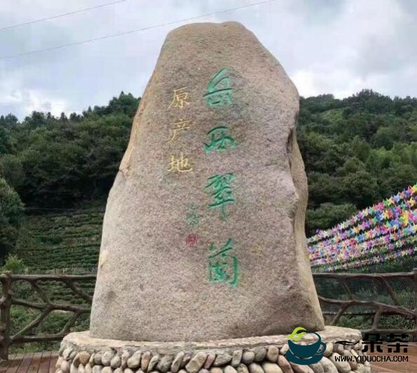 中国石化携手本来生活共同助力安徽岳西县茶产业升级