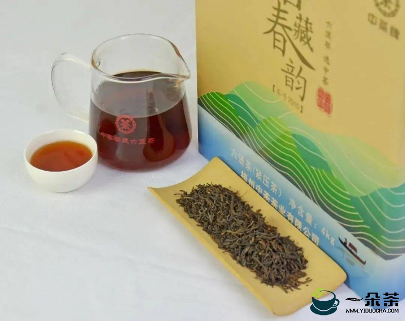 六堡茶贮藏的环境要求(六堡茶的功效与作用)