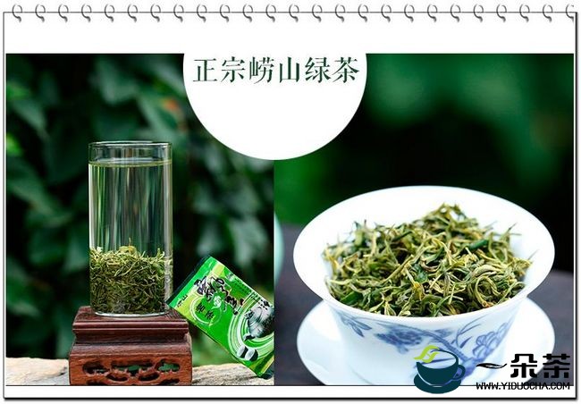 怎样鉴别崂山绿茶?|青岛崂山绿茶和南方绿茶的区别(崂山绿茶多少钱一斤)