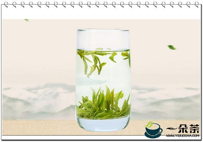 辨别优质绿茶的3个小技巧|绿茶品鉴(如何鉴别绿茶的质量)