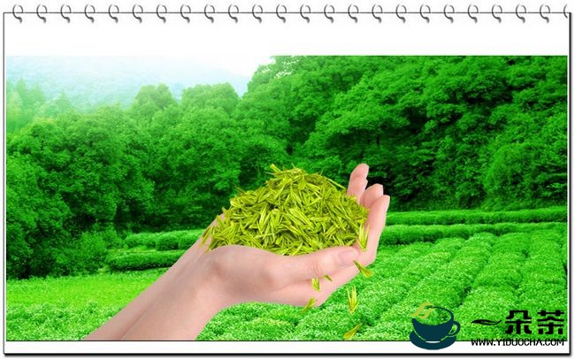 从食品安全看古代绿茶评级|绿茶品鉴(绿茶属于食品吗)