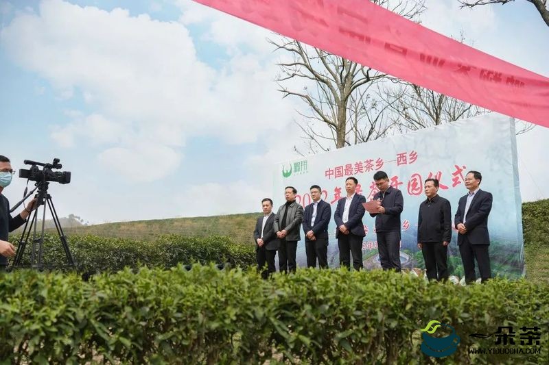 西乡县2022年绿茶线上开园仪式在鹏翔丰河生态茶园圆满举行！