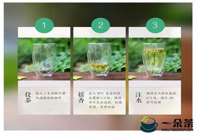 日照绿茶品鉴方法|日照绿茶冲泡(日照绿茶图片)
