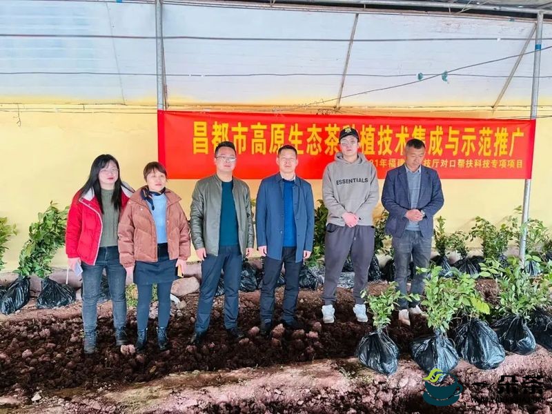 助力西藏茶产业，福建省科技厅对口帮扶昌都科技专项项目正式启动