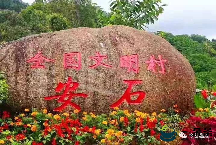 凤庆县政协1号提案持续关注滇红茶叶产业发展