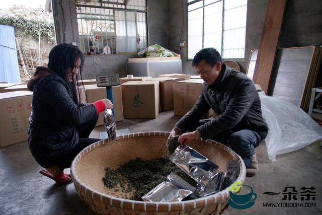 独山县：万亩春茶开采一周，市场交易行情火爆