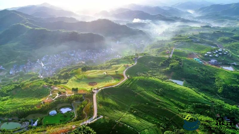 2022中国（浙江·诸暨）三茶统筹发展高峰论坛即将举办