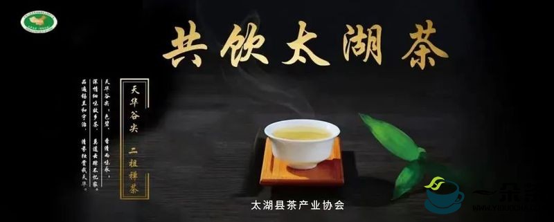 4月17日，大别山（天华镇）首届天华谷尖茶文化旅游节盛大开幕！