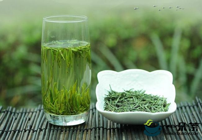 品鉴绿茶|绿茶品饮之心得与体会(品饮)