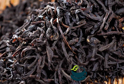 红茶起源是什么时候？(红茶的历史起源)