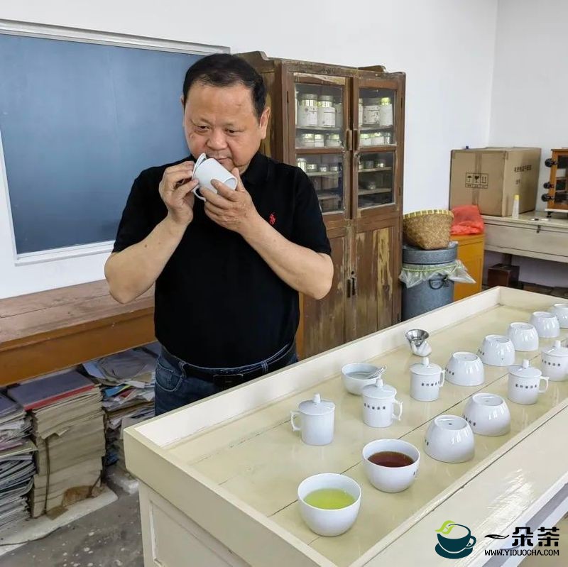 江苏省茶业工匠人物-杜希荣