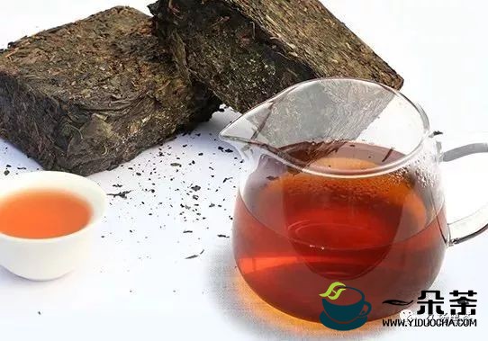 常备黑茶饮品可防治糖尿病(糖尿病的早期症状)
