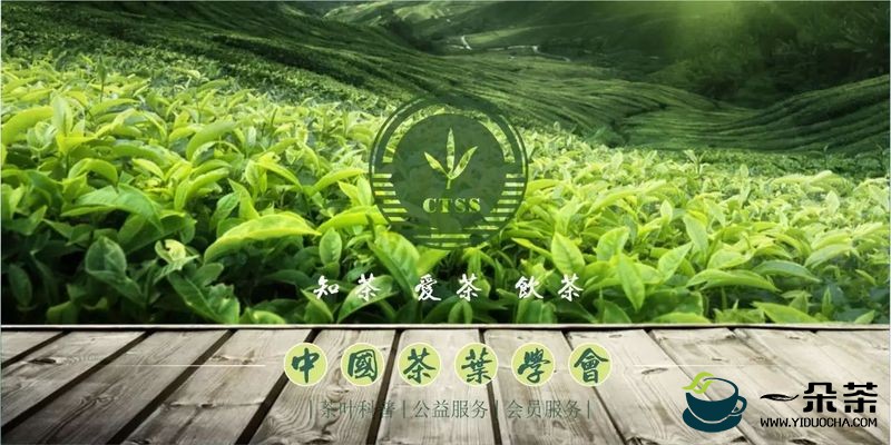 科技工作者日， 第七届中国茶叶学会青年科技奖代表（二）