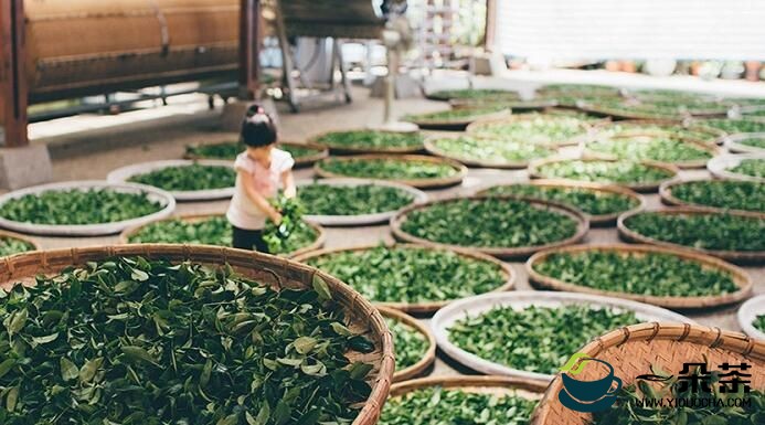 3000亿茶叶市场为何难造“茶叶第一股”？