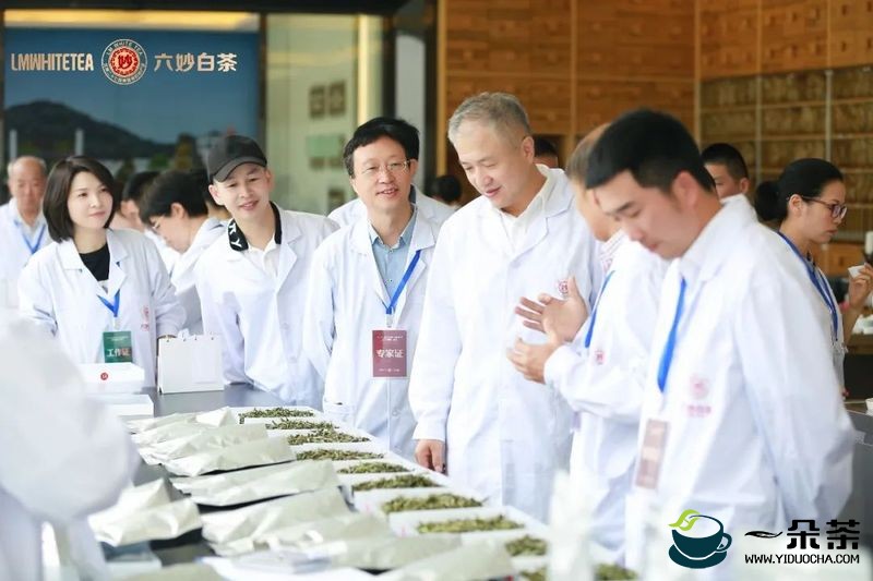 2022 年六妙茶产业联合体福鼎白茶 “斗茶赛”圆满落幕！