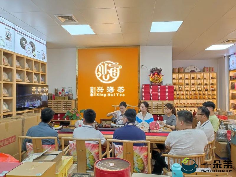 兴海茶2022年度十佳体验店评选活动