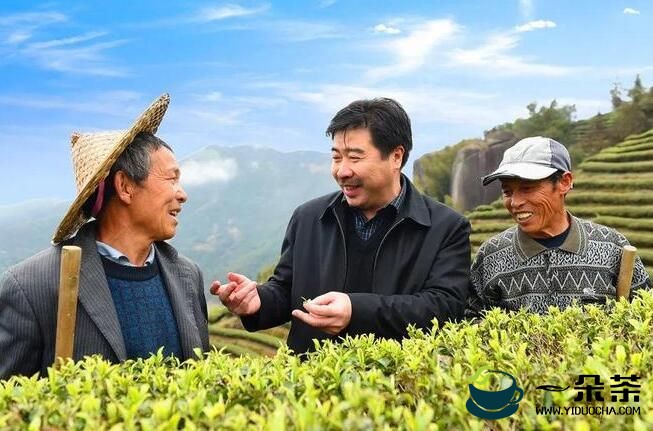 傅天龙：让中国茶文化走向世界的新农人
