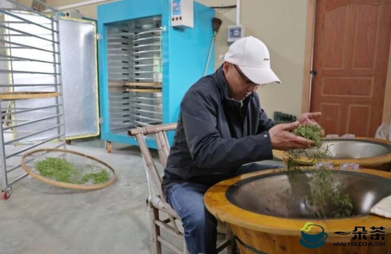 乡贤回归 助力马剑镇茶产业高质量发展