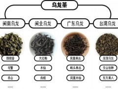 红茶和乌龙茶的区别是什么