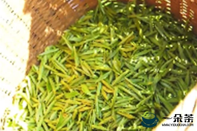 凤冈锌硒茶，外国客商到凤冈考察茶产业