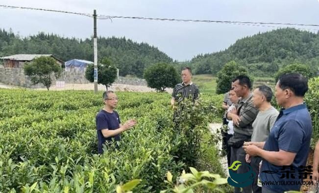 湘西州农业农村局：开展安全宣传进茶企活动
