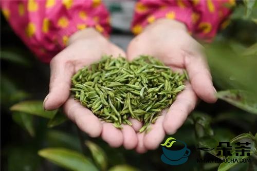立顿绿茶属于什么档次(立顿绿茶和普通绿茶的区别)