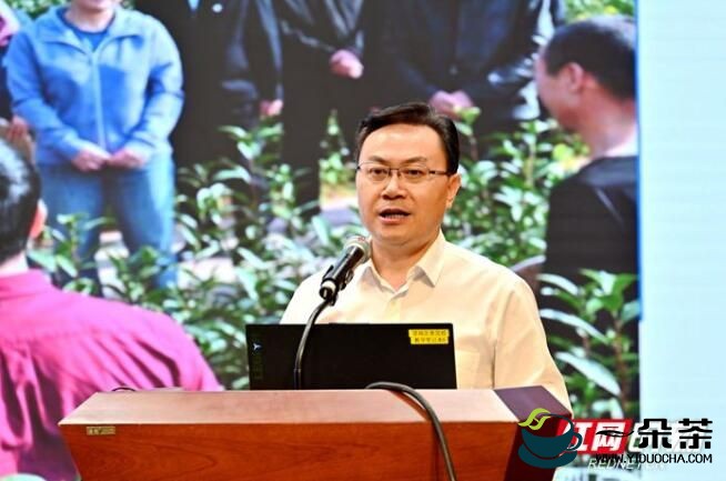 刘仲华院士：科技与文化协同 才是中国茶产业发展的未来