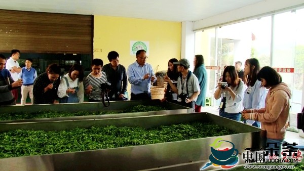 贵阳市做优茶产业做强茶品牌 推动茶旅一体化发展