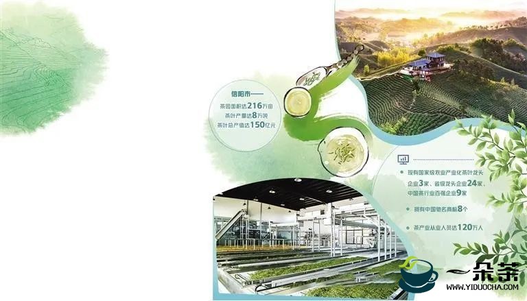 “中国乌牛早茶之乡”茶产值3亿元创新高