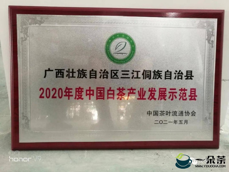 2022中国白茶产区政府沙龙在政和县举行