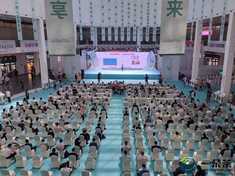 第二届中国白茶大会在福建政和举办