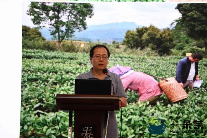2022“青茶计划”全国研讨会在浙江余姚举办