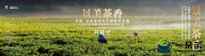 景美茶香——中国·安化黑茶文化摄影艺术展顺利开幕