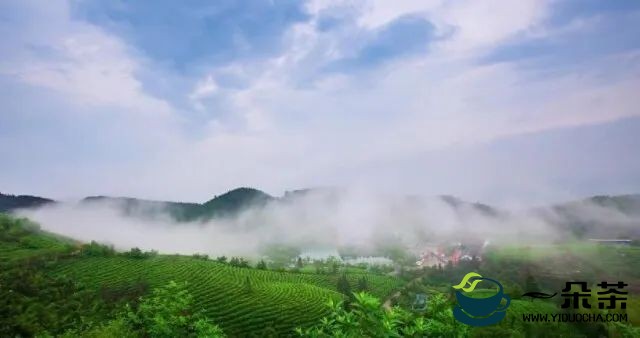 2022湖南茶叶乡村振兴“十大茶旅融合示范县”蓝山县：湘江源头茶正浓