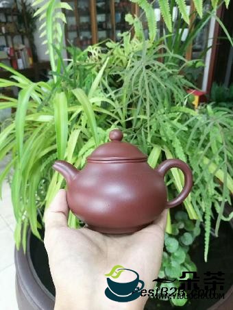 各种泥料泡什么茶 各种茶用什么紫砂壶？