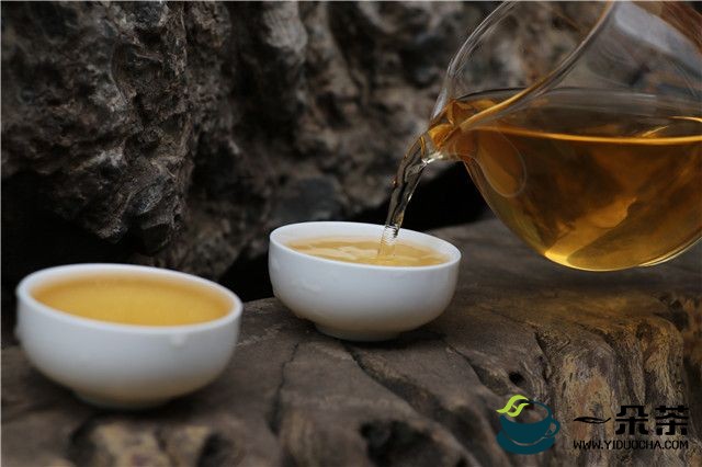 生普洱茶和熟普洱茶的区别(生普洱茶的冲泡方法)