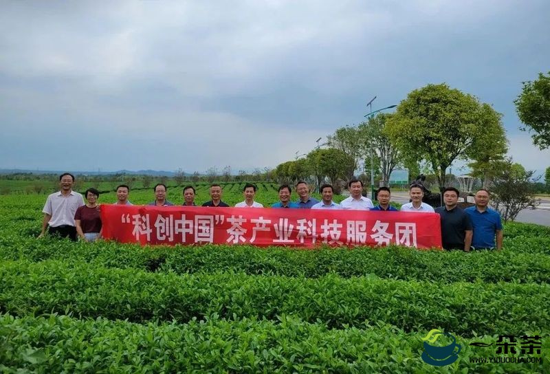 “科创中国”茶产业科技服务团助力咸宁茶业高质量发展