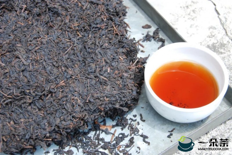 广西苍梧：让“小茶叶”成为“大产业”